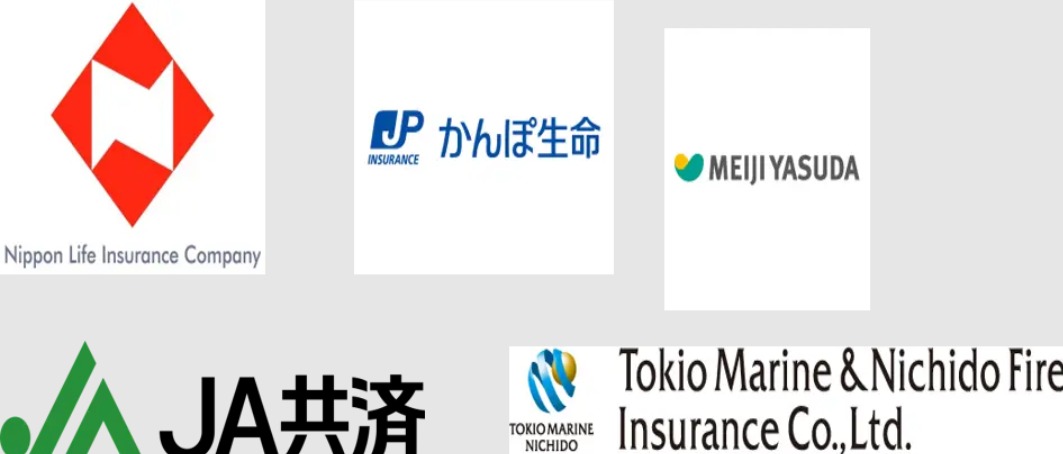 Major players in Japan Life & Non-Life Insurance industry